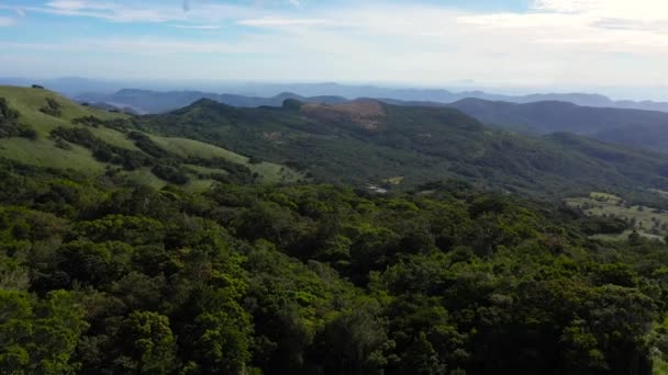 Frunzele Verzi Proaspete Plantele Tropicale Copacii Acoperă Munții Râpa Riverston — Videoclip de stoc