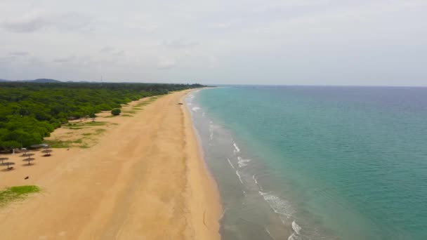 砂浜とターコイズブルーの水 ニラヴェリビーチ スリランカ トリンコマリー 夏と旅行の休暇のコンセプト — ストック動画