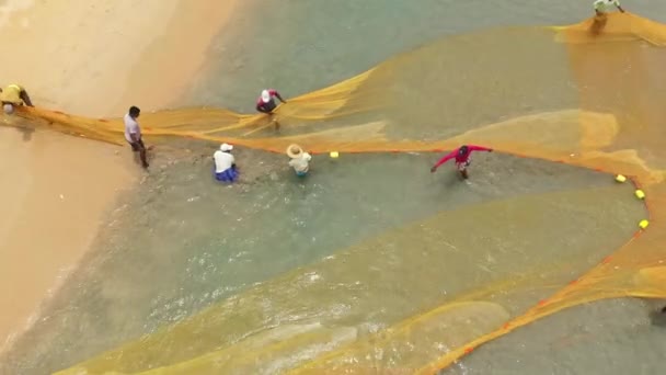 Sri Lanka August 2021 Aerial Drone Fishermen Beach Pulling Net — Stock video
