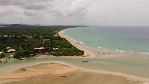 Тропічний Пляж Пальмами Блакитним Океаном Шрі Ланка — стокове відео