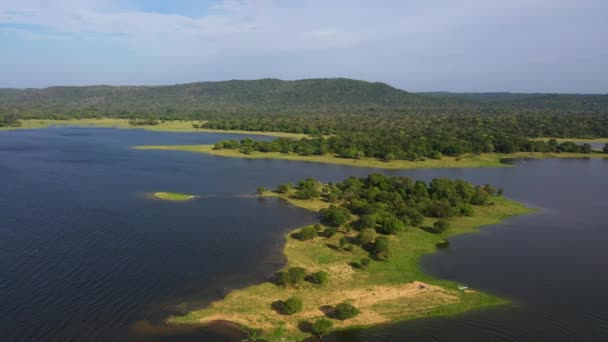 Aerial View Lake Islands Covered Rainforest Vegetation Kantale Tank Sri — Stockvideo