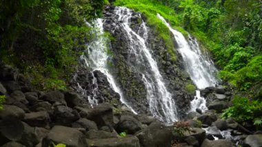 Mimbalut Falls in green forest. Waterfall in the tropical mountain jungle. Philippines, Mindanao. Iligan City, Lanao del Norte.