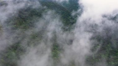 Aerial view of the jungle and rainforest through rain clouds. Sri Lanka.