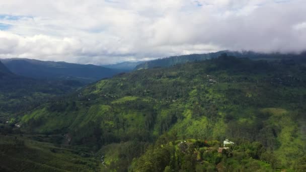 Aerial View Tea Estate Slopes Mountains Sri Lanka Tea Plantation — Stockvideo