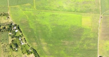 Farmland and fields of farmers view from above. Negros, Philippines