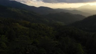 Gün batımında yağmur ormanları ve ağaçlarla dağların havadan görünüşü. Sri Lanka.