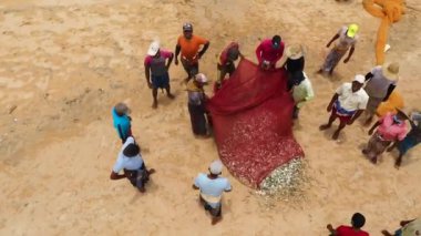 Sri Lanka - August 25, 2021: Aerial view of Fishermen select and divide the caught fish on the beach of Sri Lanka.