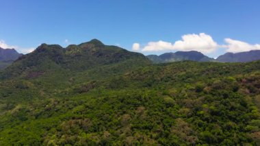 Mountain landscape with mountain peaks covered with forest. Slopes of mountains with evergreen vegetation.Sri Lanka.