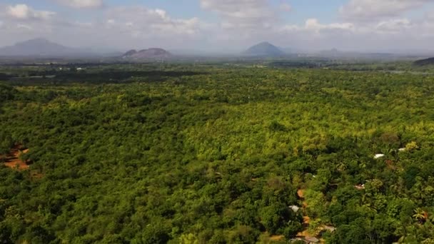 Hutan Hijau Dan Vegetasi Tropis Melawan Langit Biru Dengan Awan — Stok Video