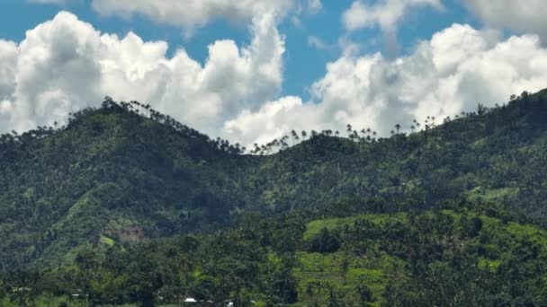 Hügel Einer Bergigen Provinz Mit Tropischer Vegetation Und Palmen Negros — Stockvideo
