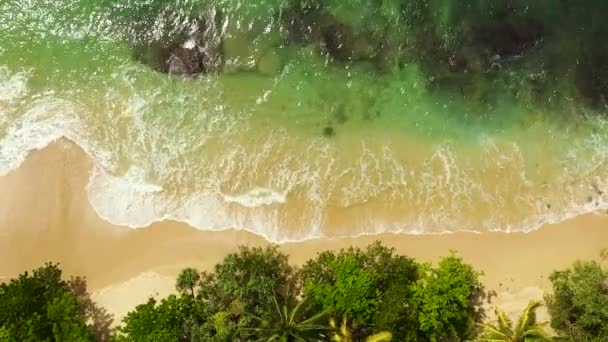 Luchtfoto Van Tropisch Strand Met Palmbomen Hiriketiya Sri Lanka — Stockvideo