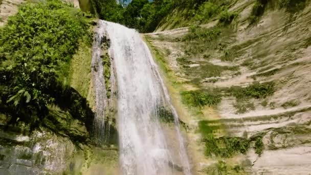 Prachtige Waterval Groen Bos Dao Falls Slow Motion Cebu Filipijnen — Stockvideo