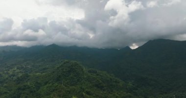 Yukarıdan ormanla kaplı dağ tepelerinin havadan görünüşü. Zenciler, Filipinler