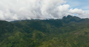 Dağ sıralarında ve dağ yamaçlarında yağmur ormanları olan insansız hava aracı. Filipinler, Zenci Adası.