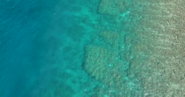 Tengerpart Korallzátonnyal Tiszta Kék Víz Nyári Hullámok Átlátszó Víz — Stock videók