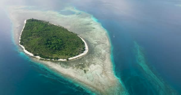 바다에 공중에서 수있습니다 야자나무가 아름다운 모래사장 필리핀 — 비디오