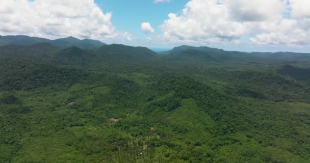 Encostas Montanha Cobertas Com Floresta Tropical Vista Selva Cima Balabac — Vídeo de Stock