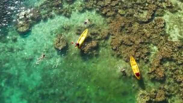 Luftaufnahme Von Touristen Auf Dem Kajak Der Lagune Mit Klarem — Stockvideo