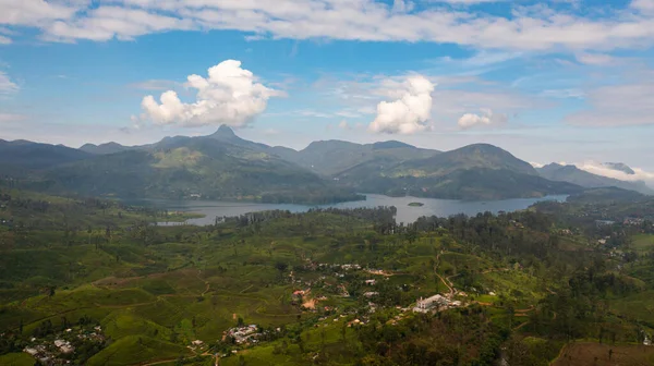 Aerial drone of lake among tea estate in the mountains. Tea plantations. Sri Pada, Adams Peak, Sri Lanka.