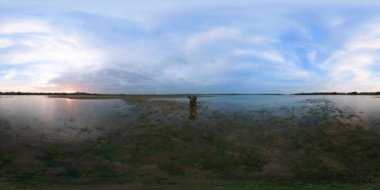 Elephant in the lake in the national park. Sri Lanka, Arugam Bay. Virtual Reality 360.