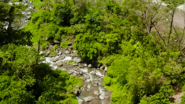 Ορεινός Ποταμός Στο Τροπικό Δάσος Μέσα Από Την Πράσινη Ζούγκλα — Αρχείο Βίντεο