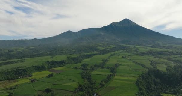 Сільськогосподарські Плантації Сільськогосподарські Угіддя Біля Підніжжя Вулкану Канлаон Негрос Філіппіни — стокове відео