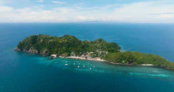 Aerial View Tropical Island Beach Apo Island Popular Dive Site — Video