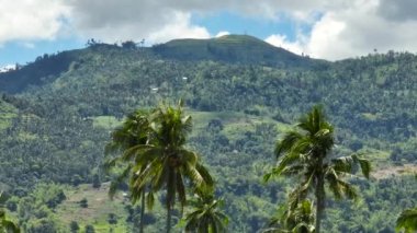 Top view of hills in a mountainous province with tropical vegetation and palm trees. Negros, Philippines