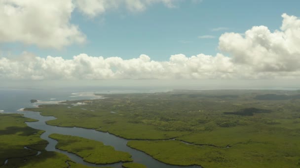 Vista Panorámica Aérea Los Manglares Isla Siargao Filipinas Paisaje Del — Vídeos de Stock