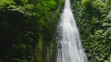 Aerial drone of waterfall in a tropical forest. Slow motion. Pulang Tubig Falls. Negros, Philippines.