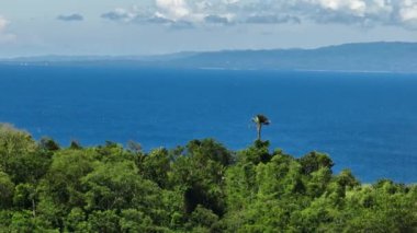 View of Cebu Island from Apo Island through the rainforest. Negros, Philippines.