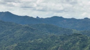 Dağ manzarası: yağmur ormanları ve ormanlarla kaplı yamaçlar. Zenciler, Filipinler