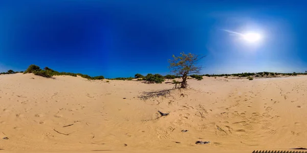 Desert landscape with vegetation and bushes. Manalkaadu Sand Hills. Sri Lanka. 360 panorama VR.