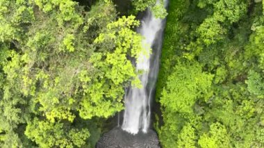 Aerial drone of waterfall in the rainforest view from above. Slow motion. Pulang-Tubig Falls Negros, Philippines.