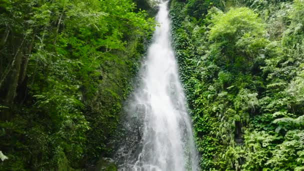 スローモーションで緑の森の中の滝 プルアン ジャングルの中のトゥビグの滝 フィリピンのネグロス — ストック動画