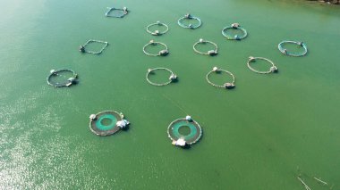 Farm about growing fish in the sea. Cages on a fish farm. Philippines.