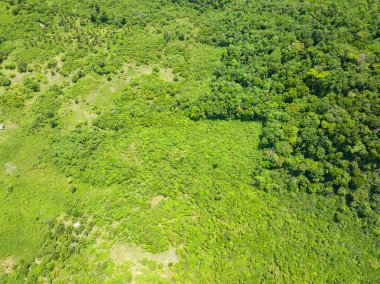 Tropical landscape with mountains and jungle. Balabac, Palawan. Philippines.
