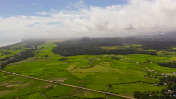 Drone Aérien Terres Agricoles Rizières Dans Les Zones Rurales Philippines — Video