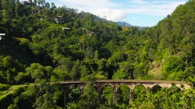 Ella, Sri Lanka yakınlarındaki dağlık bölgede dokuz kemer köprüsü. Her yer orman ve çay tarlası..