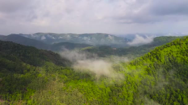 Montagnes Collines Verdoyantes Sri Lanka Pentes Montagnes Végétation Sempervirente — Video