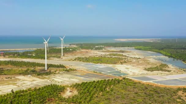 Kıyı Şeridinde Rüzgar Türbinleri Rüzgar Santrali Kalpitiya Sri Lanka — Stok video