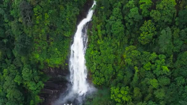 Beautiful Waterfall Rainforest Mapalana Falls Tropical Mountain Jungle Sri Lanka — Vídeos de Stock
