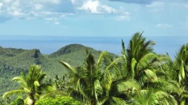 Aerial view of the sea and mountains through the palm trees. Negros, Philippines