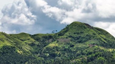 Aerial view of hills and mountains in the tropics with palm trees and forest. Negros, Philippines