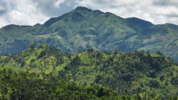 山上和山上的斜坡 生长着绿色的植被和棕榈树 Negros 菲律宾 — 图库视频影像
