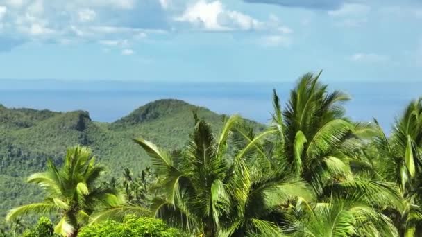 Veduta Aerea Del Mare Delle Montagne Attraverso Palme Negros Filippine — Video Stock