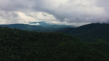 Sri Lanka dağlık bölgesinde yağmur ormanı ve ormanı olan dağların insansız hava aracı..