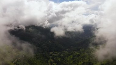 Aerial view of Tropical mountain range and mountain slopes with rainforest. Sri Lanka.