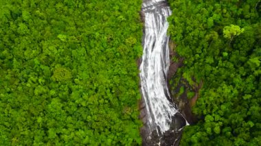 Yeşil bitki örtüsüyle çevrili tropikal bir ormanda şelale. Dağ ormanında Kirindi Şelalesi. Sri Lanka.
