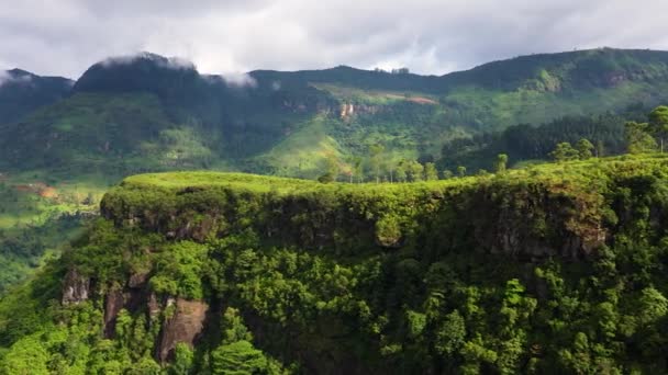 Сельскохозяйственные Земли Чайные Плантации Окруженные Горами Лесом Рамбода Шри Ланка — стоковое видео